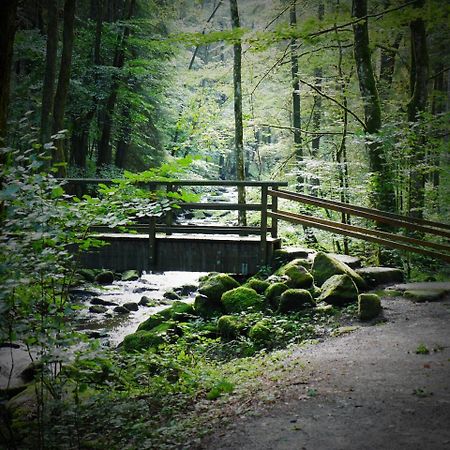 Fewo Kedo Neukirchen vorm Wald Eksteriør billede