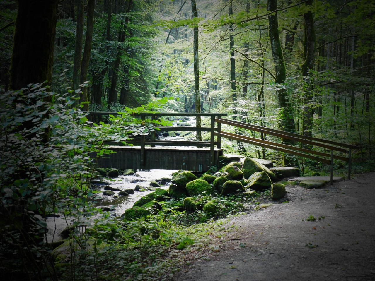 Fewo Kedo Neukirchen vorm Wald Eksteriør billede