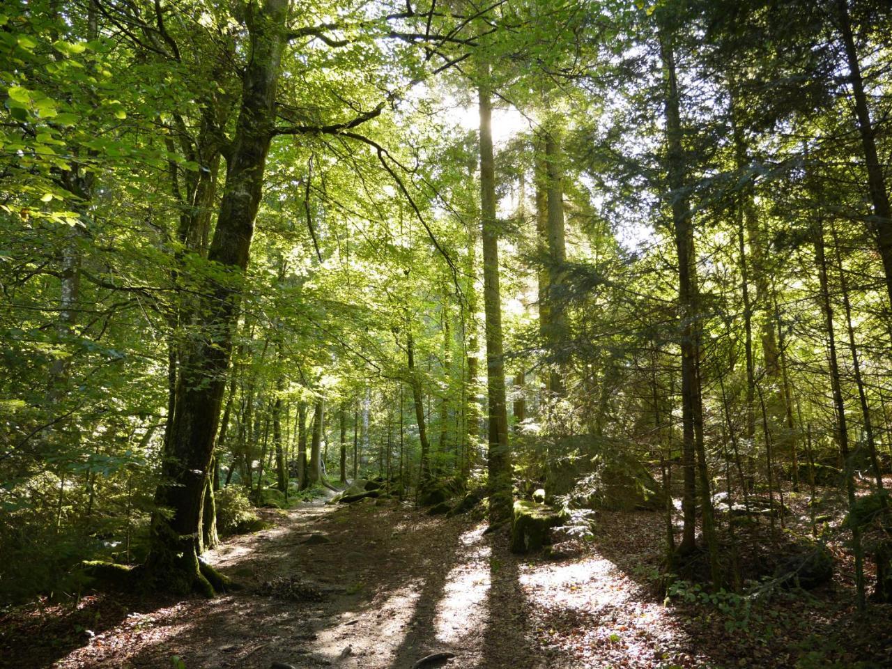 Fewo Kedo Neukirchen vorm Wald Eksteriør billede