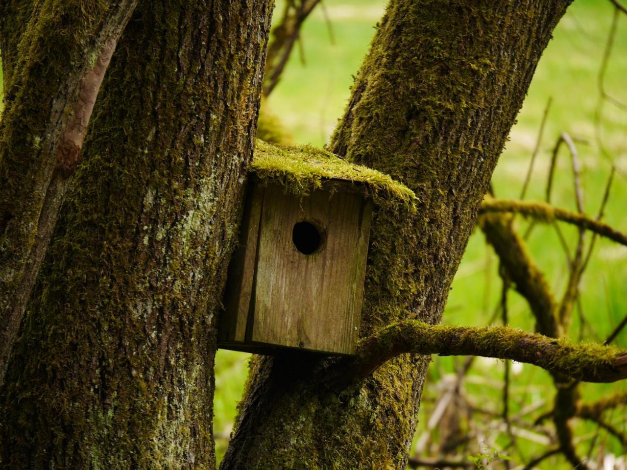 Fewo Kedo Neukirchen vorm Wald Eksteriør billede