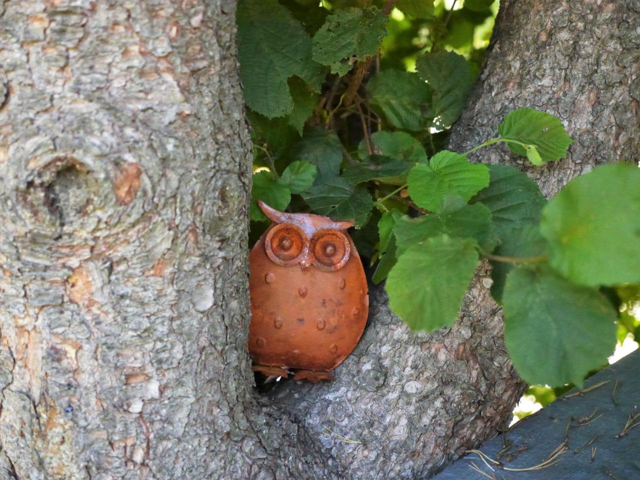 Fewo Kedo Neukirchen vorm Wald Eksteriør billede